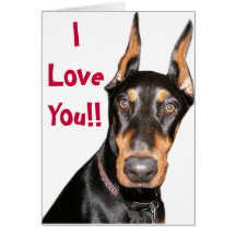 I Love You!! Doberman  Cards