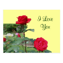I Love You Red Roses Flower Photo Postcard