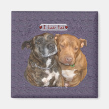 I Love You Snuggling Staffys Magnet