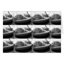 I Miss You Card