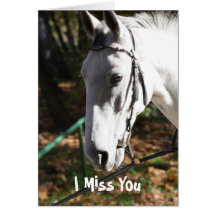 I Miss You White Horse Greeting Card