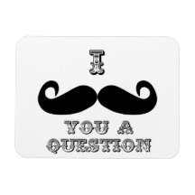 I Moustache You a Question Vinyl Magnet