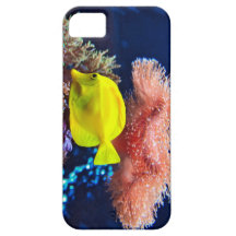 i-Phone 5 Case "Yellownose Butterfly Fish" iPhone 5 Covers