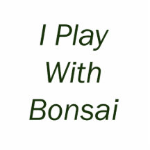I Play With Bonsai green Text Acrylic Cut Outs