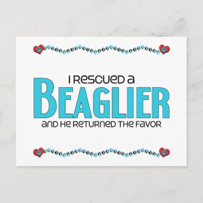 Adoption Cards on Rescued A Beaglier  Male  Dog Adoption Design Post Card By Dogadoodle