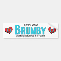 I Rescued a Brumby (Female Horse) Bumper Sticker