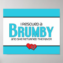 I Rescued a Brumby (Female Horse) Print
