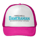 I Rescued a Dameranian (Female) Dog Adoption Mesh Hat