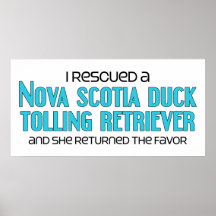 I Rescued a Duck Tolling Retriever (Female Dog) Posters