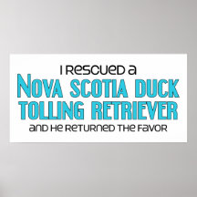 I Rescued a Duck Tolling Retriever (Male Dog) Print