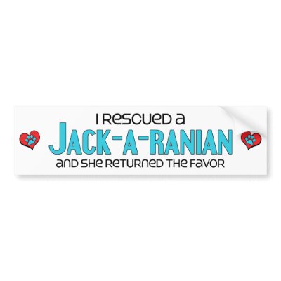 Free  Adoption on Jack A Ranian  Female  Dog Adoption Bumper Stickers By Dogadoodle