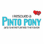 I Rescued a Pinto Pony (Female Pony) Acrylic Cut Outs