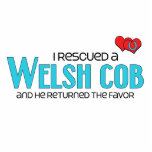 I Rescued a Welsh Cob (Male Pony) Cut Out