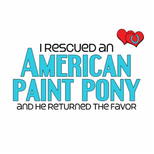 I Rescued an American Paint Pony (Male Pony) Photo Cut Outs