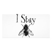 I Stay Fly