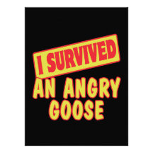 I SURVIVED AN ANGRY GOOSE INVITE