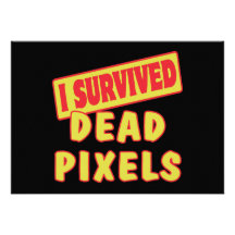 I SURVIVED DEAD PIXELS CUSTOM ANNOUNCEMENTS