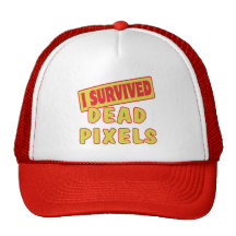 I SURVIVED DEAD PIXELS HATS