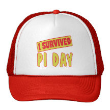 I SURVIVED PI DAY MESH HAT