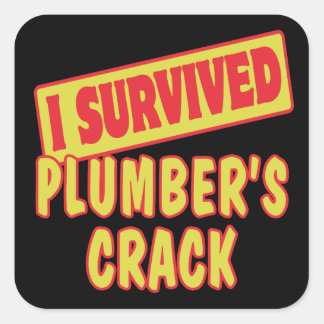 Plumbers Crack