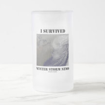 I Survived Winter Storm Nemo (NASA Outer Space) Mugs