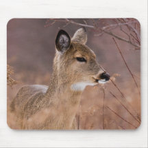 I’ve Got My Eye On You Mousepad