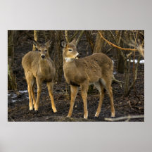 I’ve Got My Eye On You Posters