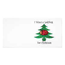 I want a ladybug for christmas custom photo card