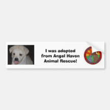 I was adopted! Bumper Sticker