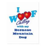 I Woof Bernese Mountain Dog Post Cards