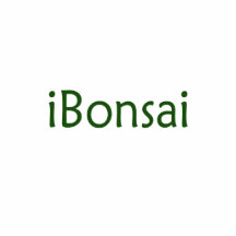 iBonsai green text bonsai design Photo Sculpture