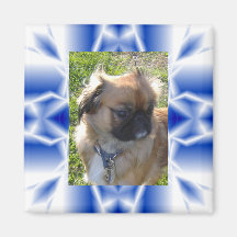 Ice Crystal Photo Magnet