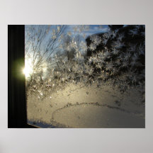 Ice Crystals Posters