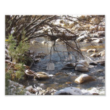 Ice Fingers Photograph