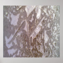 Ice on the ground photo poster