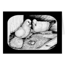 Ice Pigeons Cards