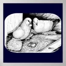 Ice Pigeons Posters