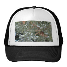 Ice Pinetree Hats