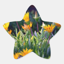 Ice Plant Sticker