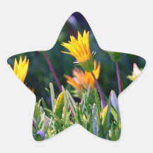 Ice Plant Stickers