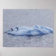 Iceberg for Two Posters