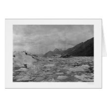 Iceberg Reid Inlet 1908 Greeting Cards