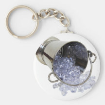 IceBucket060709 Keychains