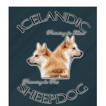 Icelandic T-Shirt Protecting the Future