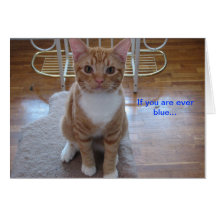 If you are ever blue greeting card