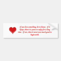 if-you-love-something-let-it-freeze bumper sticker