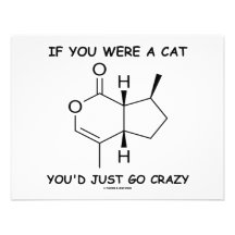 If You Were A Cat You'd Just Go Crazy Custom Invitations