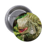 Iguana green pin