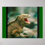 Iguana Says Rawr Print
