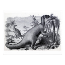 Iguanadon Post Cards